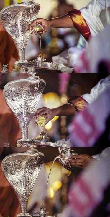 Vedic temple offerings